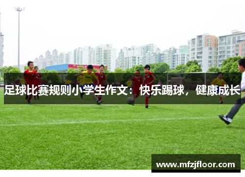 足球比赛规则小学生作文：快乐踢球，健康成长