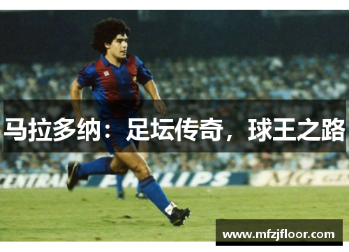 马拉多纳：足坛传奇，球王之路