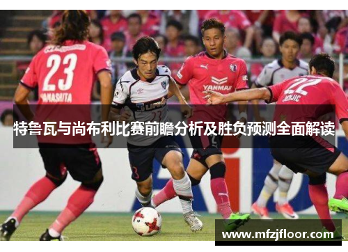 特鲁瓦与尚布利比赛前瞻分析及胜负预测全面解读