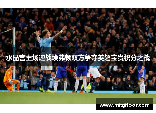 水晶宫主场迎战埃弗顿双方争夺英超宝贵积分之战
