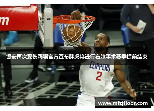 锡安再次受伤鹈鹕官方宣布胖虎将进行右膝手术赛季提前结束