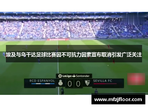 埃及与乌干达足球比赛因不可抗力因素宣布取消引发广泛关注
